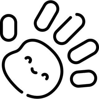 eine Kinderhand